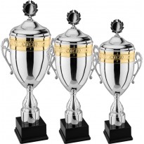 Serie di 3 trofei cm 76-71-64