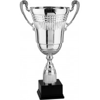 Trophy with handles cm 51