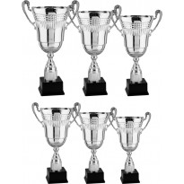 Series of 6 trophies