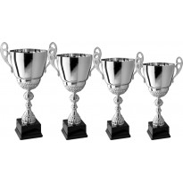 Series of 4 trophies