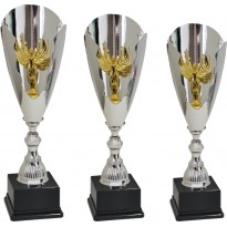 Series of 3 trophies