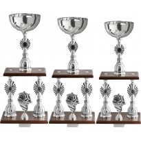 Series of 3 trophies