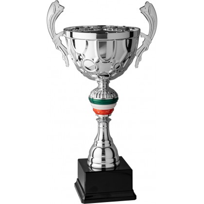 cod. 7.091 - Trofeo con manici cm 46