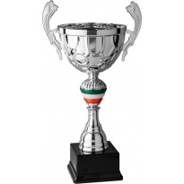 Trofeo con manici cm 28