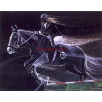 cod. P.CAV09 - Cornice con Poster Cavallo 24x18