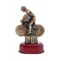 cod. P.CI09 - Trofeo Mountain bike cm 15