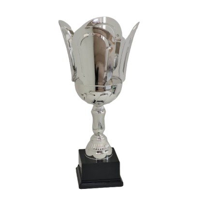 cod. P482.2492 - Trofeo cm 46 ø 20