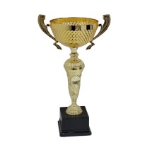 Trofeo con manici cm 37 ø 14