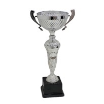 Trofeo con manici cm 35 ø 12