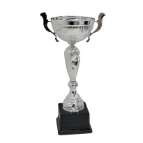 Trofeo con manici cm 34 ø 12