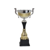 Trofeo con manici cm 33 ø 12