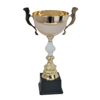 Trofeo con manici cm 36 ø 14