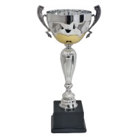 Trofeo con manici cm 35 ø 12